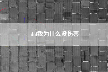 dnf我为什么没伤害