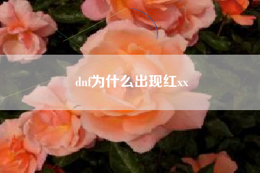 dnf为什么出现红xx