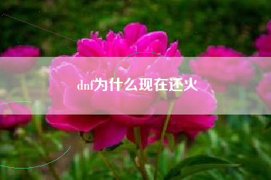 dnf为什么现在还火