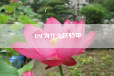 DNF为什么选轻甲