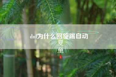 dnf为什么回旋踢自动