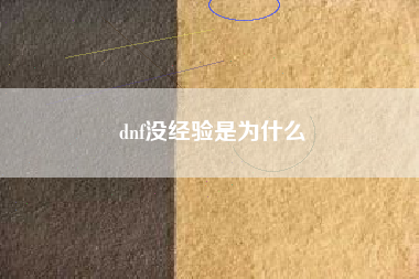 dnf没经验是为什么