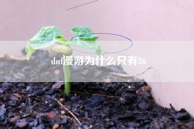 dnf漫游为什么只有86