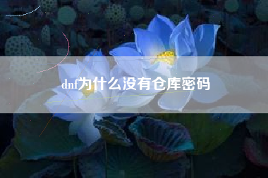 dnf为什么没有仓库密码