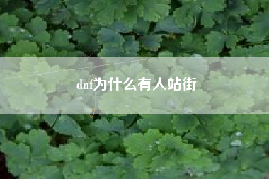 dnf为什么有人站街