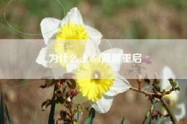 为什么上dnf蓝屏重启