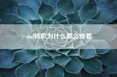 dnf转职为什么那么难看