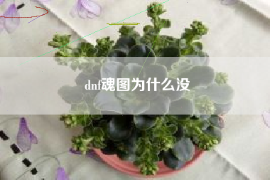 dnf魂图为什么没