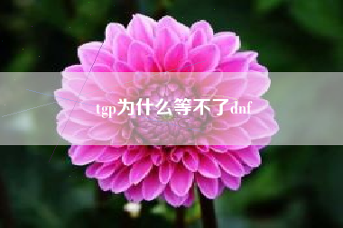 tgp为什么等不了dnf