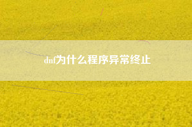 dnf为什么程序异常终止