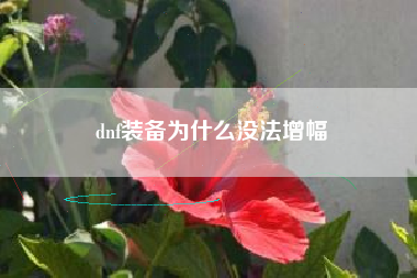 dnf装备为什么没法增幅