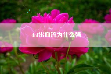 dnf出血流为什么强