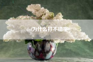 dnf为什么打不错字