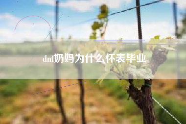 dnf奶妈为什么怀表毕业