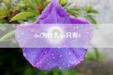 dnf为什么fps只有4