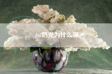 dnf奶光为什么强