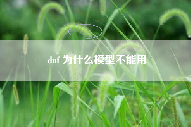 dnf 为什么模型不能用