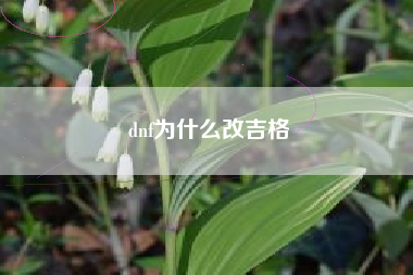 dnf为什么改吉格