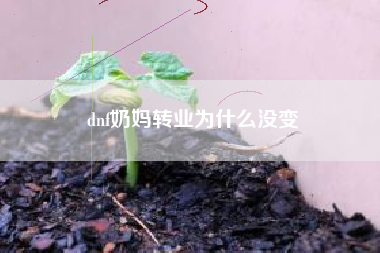 dnf奶妈转业为什么没变