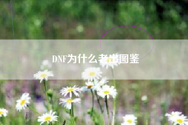 DNF为什么老出图鉴