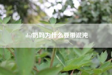 dnf奶妈为什么要带混沌