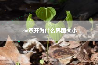 dnf双开为什么界面大小