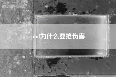 dnf为什么要抢伤害