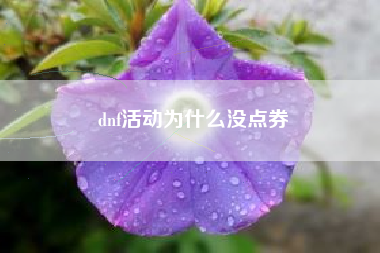 dnf活动为什么没点券