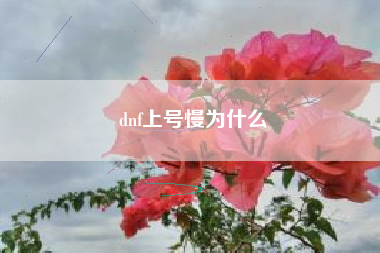 dnf上号慢为什么