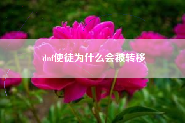 dnf使徒为什么会被转移