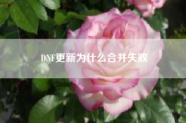 DNF更新为什么合并失败