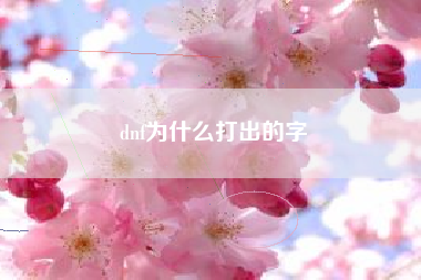 dnf为什么打出的字