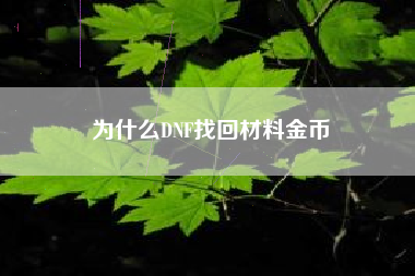 为什么DNF找回材料金币