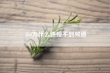 dnf为什么连接不到频道