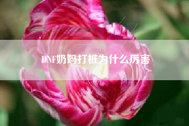 DNF奶妈打桩为什么厉害