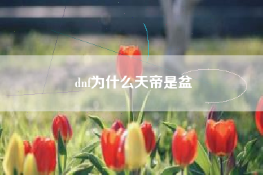 dnf为什么天帝是盆