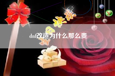 dnf改造为什么那么贵