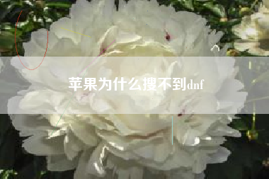 苹果为什么搜不到dnf