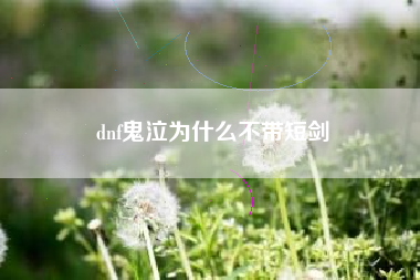 dnf鬼泣为什么不带短剑