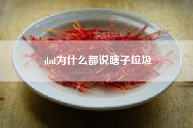 dnf为什么都说瞎子垃圾