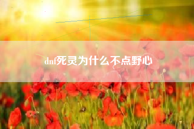 dnf死灵为什么不点野心