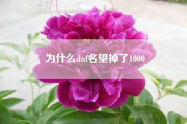 为什么dnf名望掉了1000