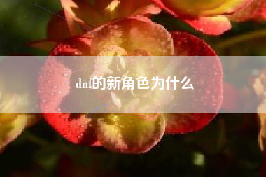 dnf的新角色为什么