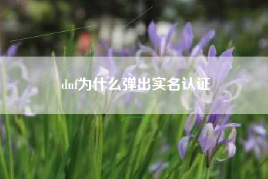 dnf为什么弹出实名认证