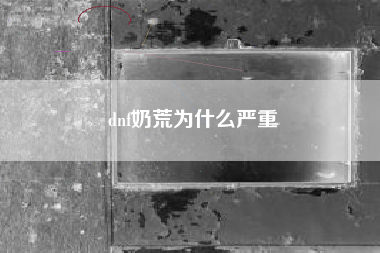 dnf奶荒为什么严重