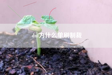 dnf为什么单刷制裁