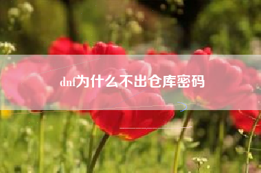 dnf为什么不出仓库密码