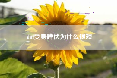 dnf受身蹲伏为什么很短