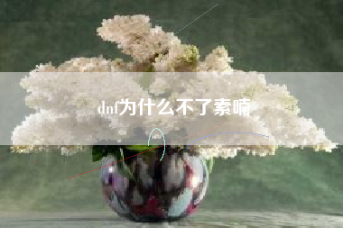 dnf为什么不了素喃