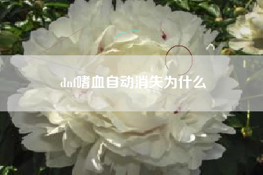 dnf嗜血自动消失为什么